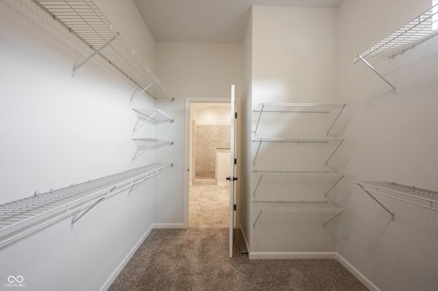 1715 Rossmay, Westfield, IN 46074