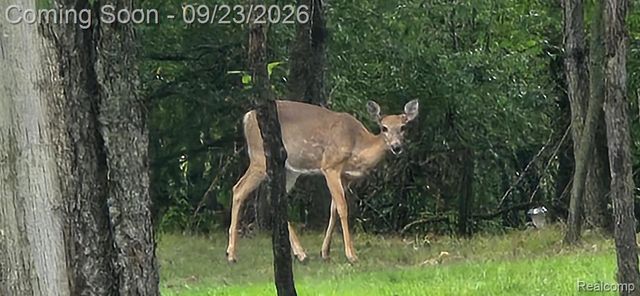 15681 Arnold Road, Unadilla Township, MI 48137