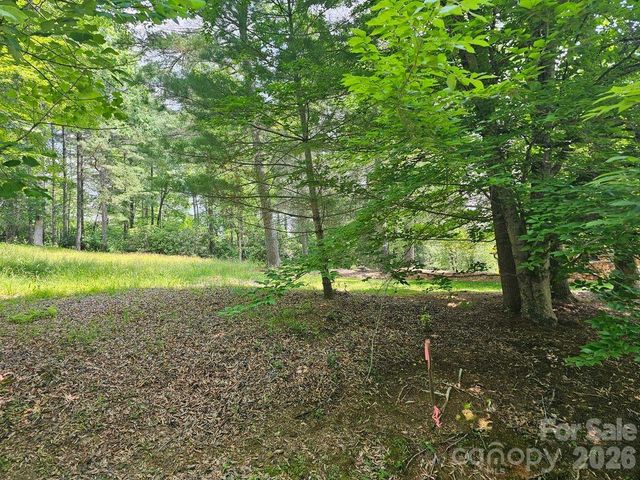 A3 Allison Creek Trail A3, Brevard, NC 28712