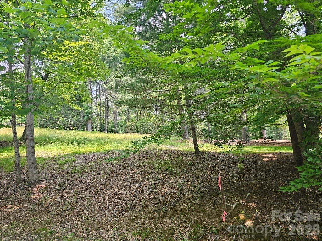 A3 Allison Creek Trail A3, Brevard, NC 28712