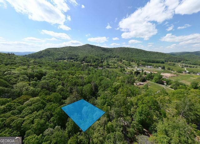647 Happy Hollow Circle, Suches, GA 30572