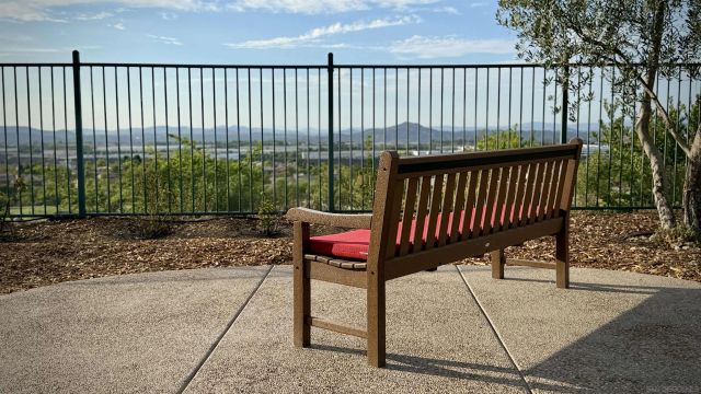 15238 Maple Grove Lane, San Diego, CA 92131