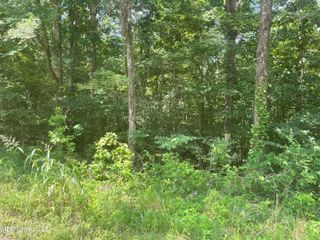 Magnolia Circle, Sarah, MS 38665