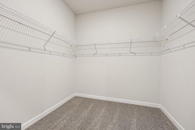 653 HOOT OWL LN, La Plata, MD 20646