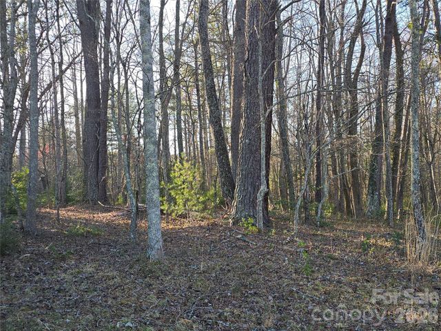 117 Woods View Trail, Fairview, NC 28730