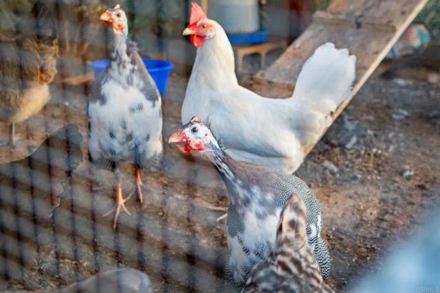 30837 Palomar Vista Drive, Valley Center, CA 92082