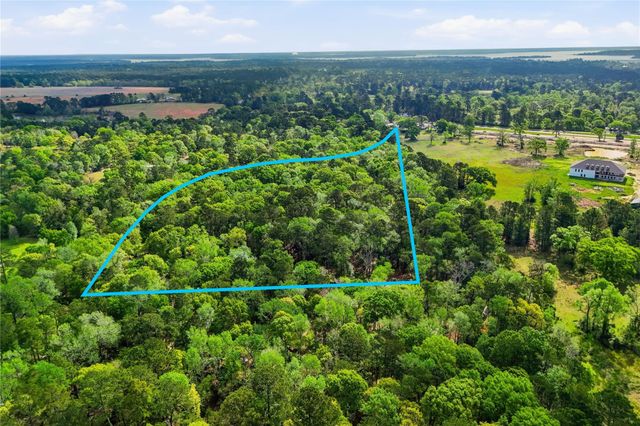 19909 Big Oak Drive, Montgomery, TX 77356