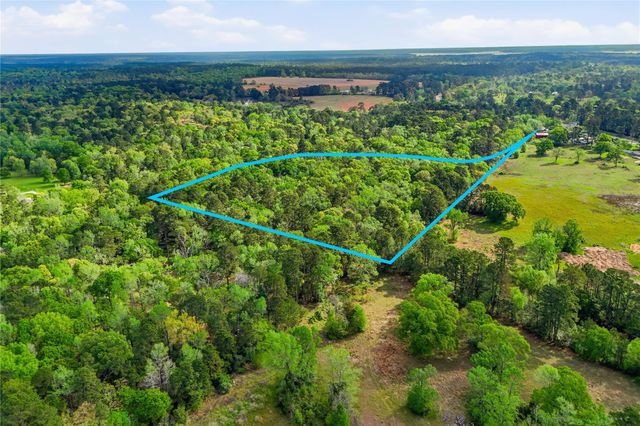 19909 Big Oak Drive, Montgomery, TX 77356