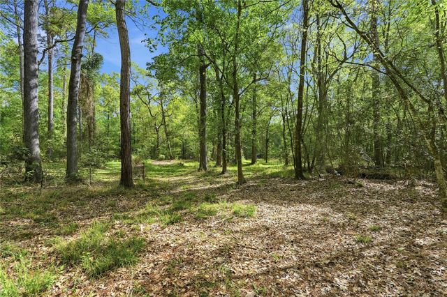 19909 Big Oak Drive, Montgomery, TX 77356