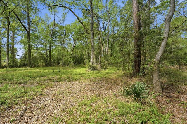 19909 Big Oak Drive, Montgomery, TX 77356