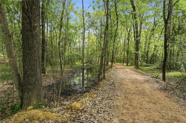 19909 Big Oak Drive, Montgomery, TX 77356