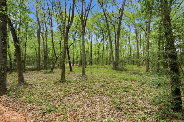 19909 Big Oak Drive, Montgomery, TX 77356