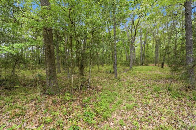 19909 Big Oak Drive, Montgomery, TX 77356