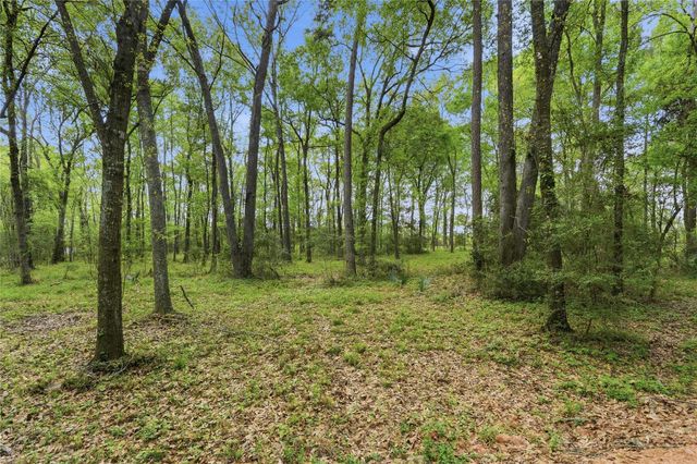 19909 Big Oak Drive, Montgomery, TX 77356