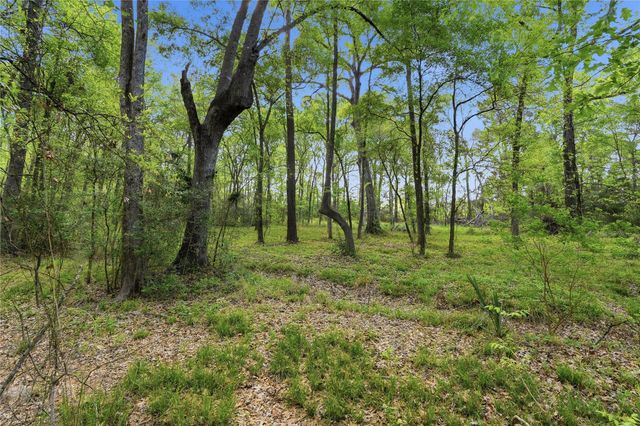 19909 Big Oak Drive, Montgomery, TX 77356