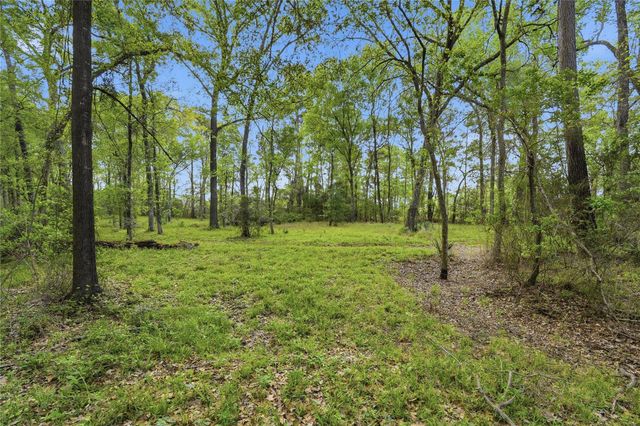 19909 Big Oak Drive, Montgomery, TX 77356