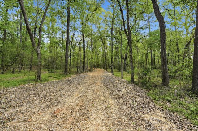 19909 Big Oak Drive, Montgomery, TX 77356