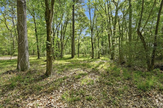 19909 Big Oak Drive, Montgomery, TX 77356