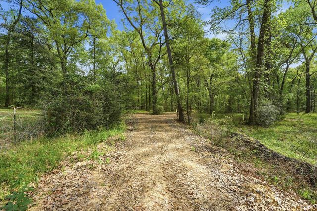 19909 Big Oak Drive, Montgomery, TX 77356