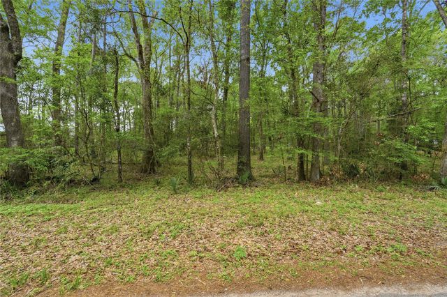 19909 Big Oak Drive, Montgomery, TX 77356