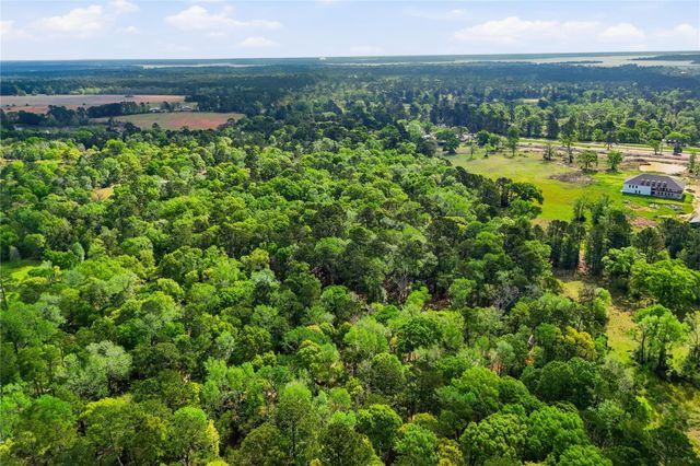 19909 Big Oak Drive, Montgomery, TX 77356