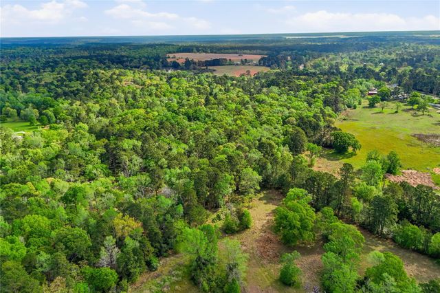 19909 Big Oak Drive, Montgomery, TX 77356