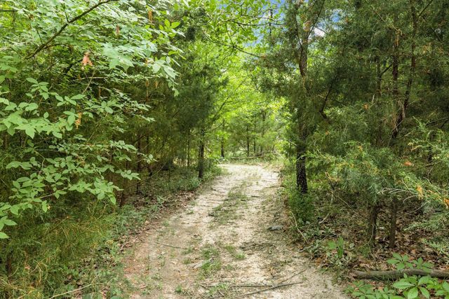 11374 Texas Highway 154 S, Yantis, TX 75497