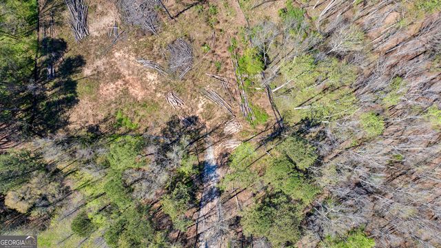 BTWN 1653 & 169 Hwy 85 South, Fayetteville, GA 30215