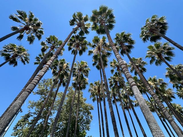 88 Bush Street 2171, San Jose, CA 95126