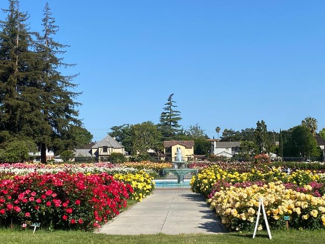 88 Bush Street 2171, San Jose, CA 95126