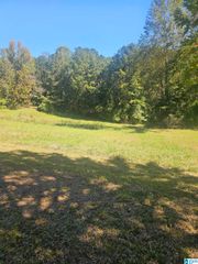 11840 N SCOTTSVILLE ROAD, West Blocton, AL 35184