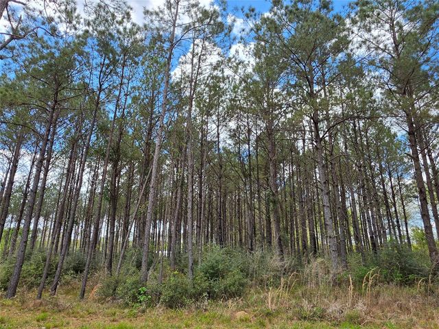 TBD Kelley Road, Livingston, TX 77351