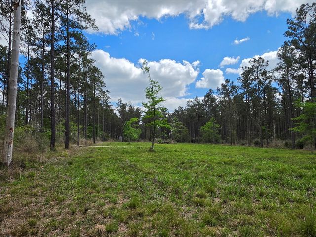 TBD Kelley Road, Livingston, TX 77351