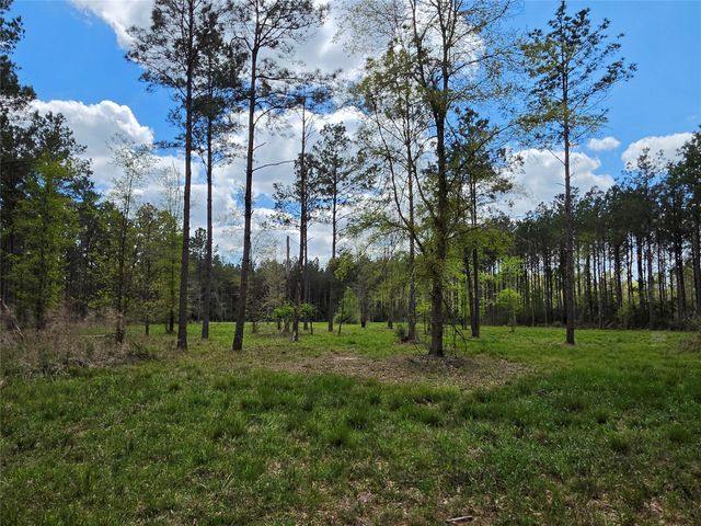 TBD Kelley Road, Livingston, TX 77351