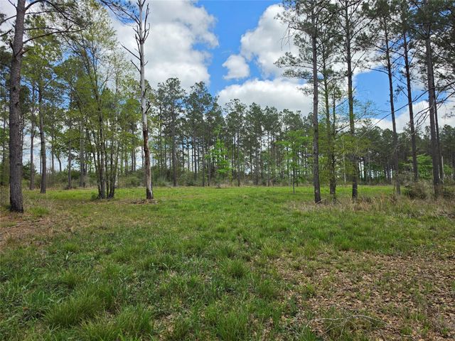 TBD Kelley Road, Livingston, TX 77351