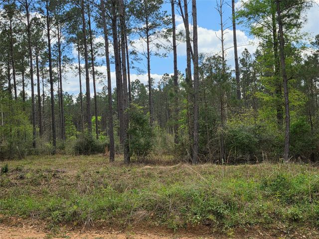 TBD Kelley Road, Livingston, TX 77351