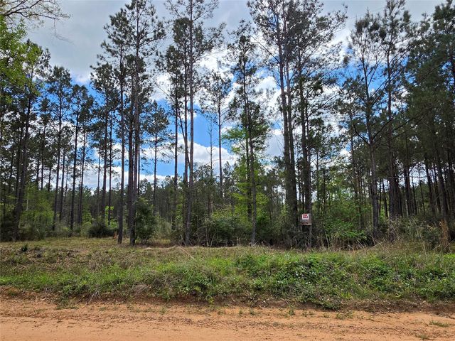 TBD Kelley Road, Livingston, TX 77351