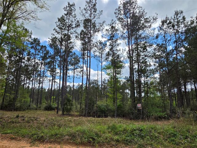 TBD Kelley Road, Livingston, TX 77351