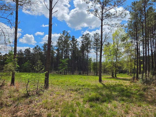 TBD Kelley Road, Livingston, TX 77351