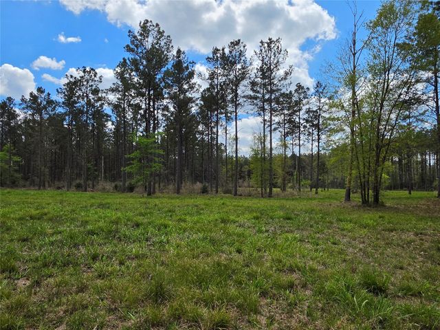 TBD Kelley Road, Livingston, TX 77351