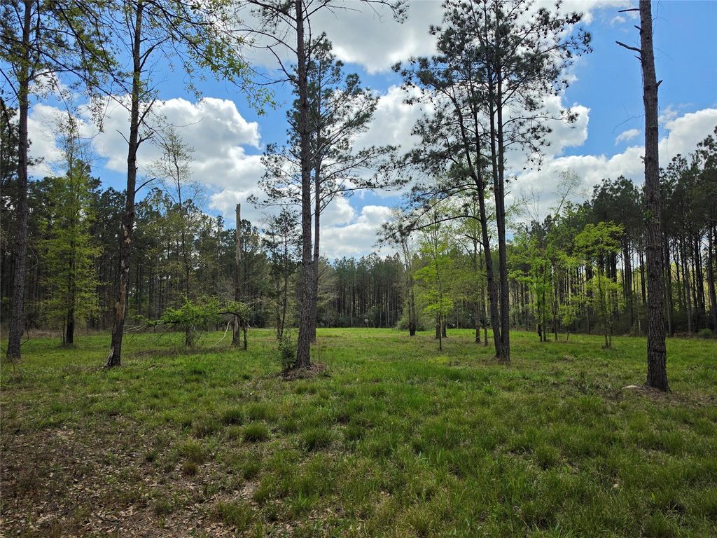 TBD Kelley Road, Livingston, TX 77351