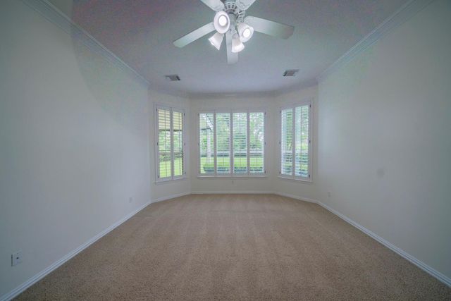 1415 Sue Barnett Drive, Houston, TX 77018