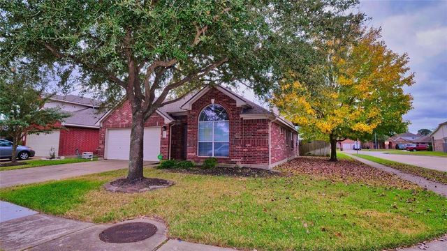 10235 Riderdale Park Lane, Houston, TX 77070