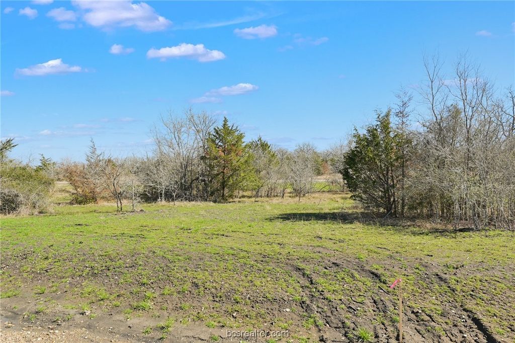 4007 Hollow Court, College Station, TX 77845 — photo 4