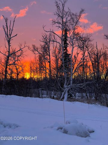 3684 N Puffin Circle, Palmer, AK 99645