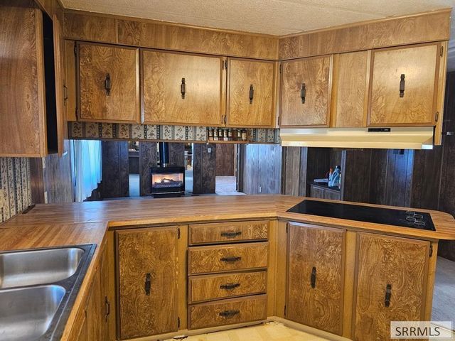 117 Sage Hen Rd, Salmon, ID 83467