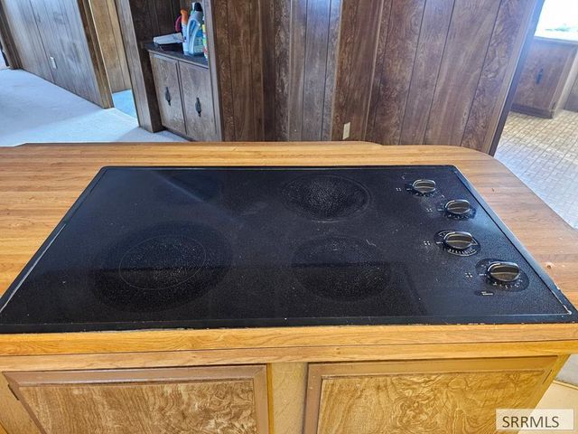 117 Sage Hen Rd, Salmon, ID 83467