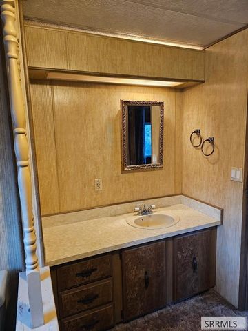 117 Sage Hen Rd, Salmon, ID 83467