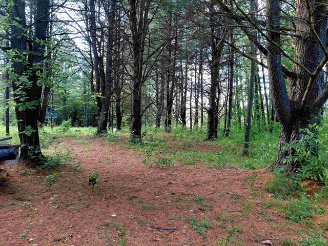 9170 W Gladwin Road, Harrison, MI 48625