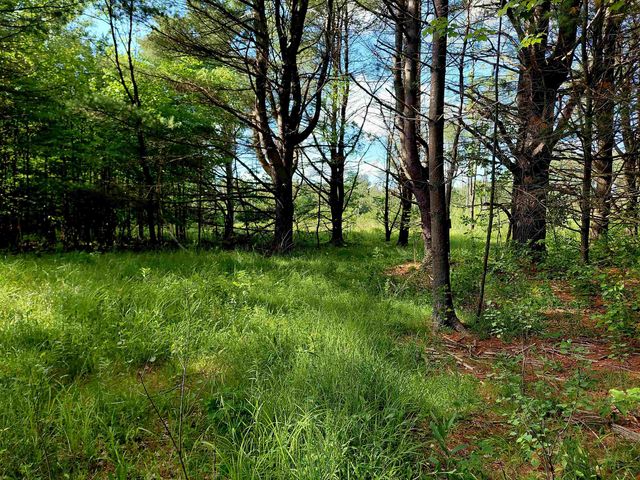 9170 W Gladwin Road, Harrison, MI 48625